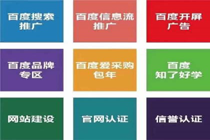 SEM代理案例：从零到一，见证品牌崛起